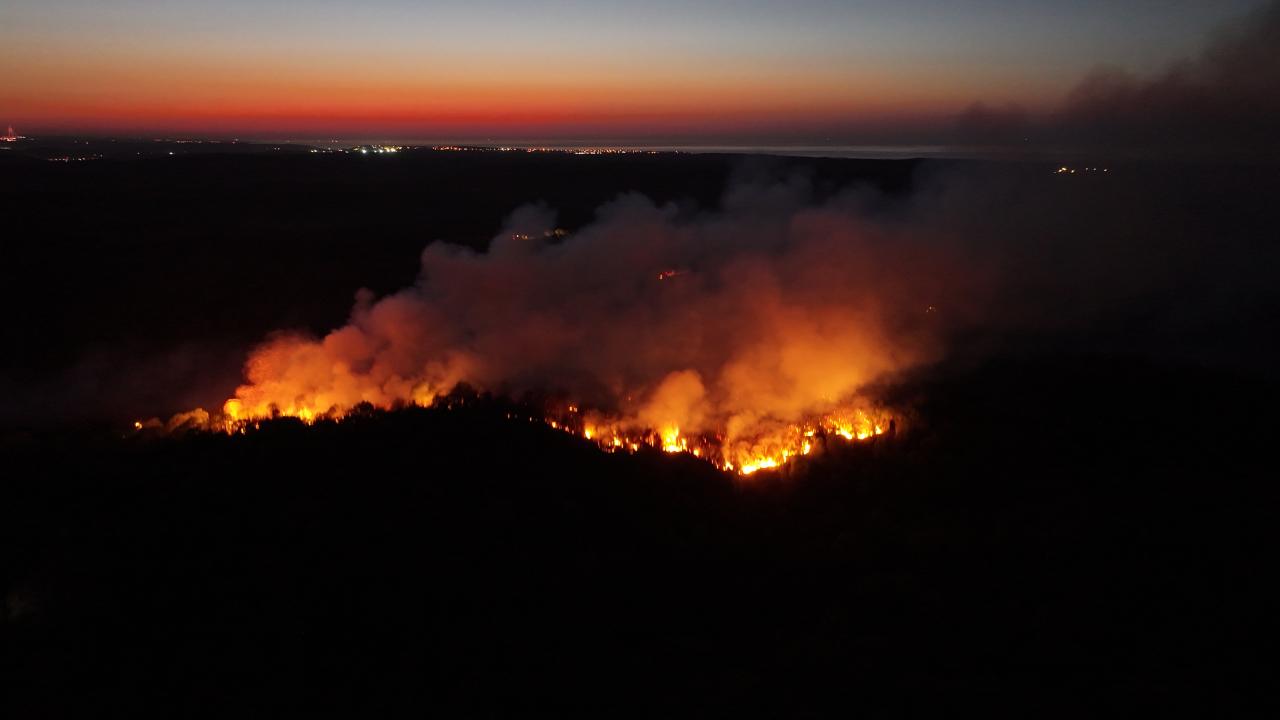 Beykoz'da orman yangını: Alevler yeniden yükseldi