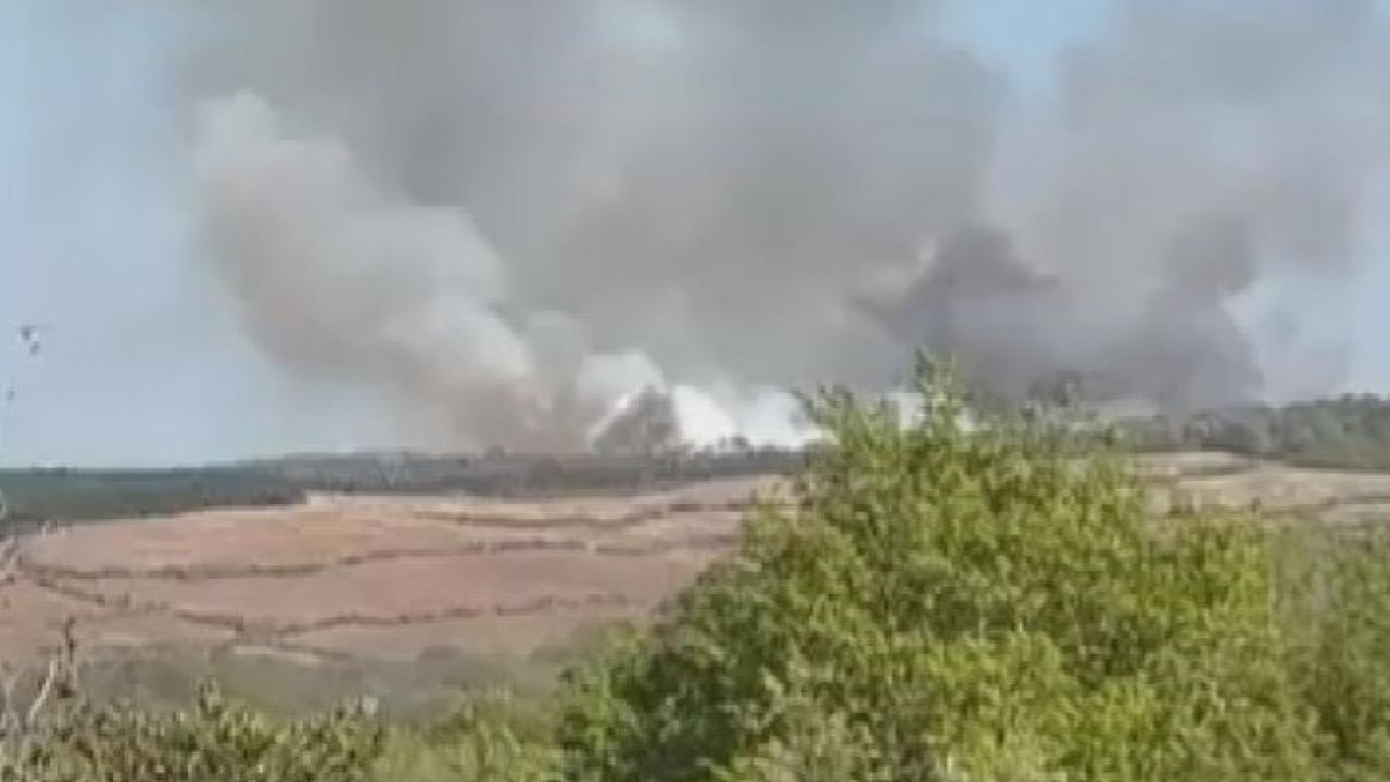 İstanbul'da ormanlık alanda yangın
