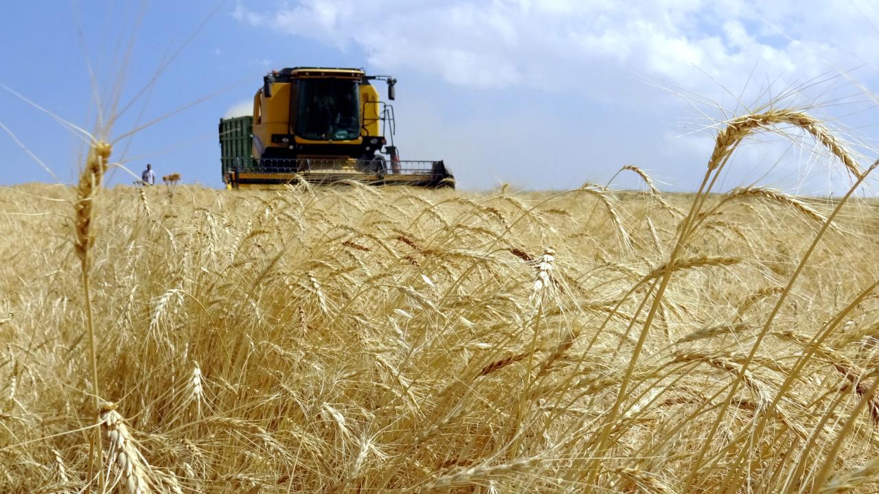 Yaklaşık 1,4 milyar lira tarımsal destekleme ödemeleri bugün yapılacak