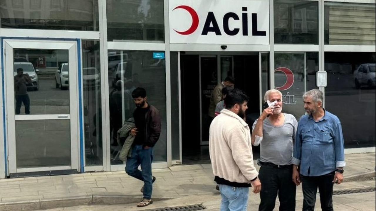 Şanlıurfa'da sahipsiz köpeğin saldırdığı kişi yaralandı