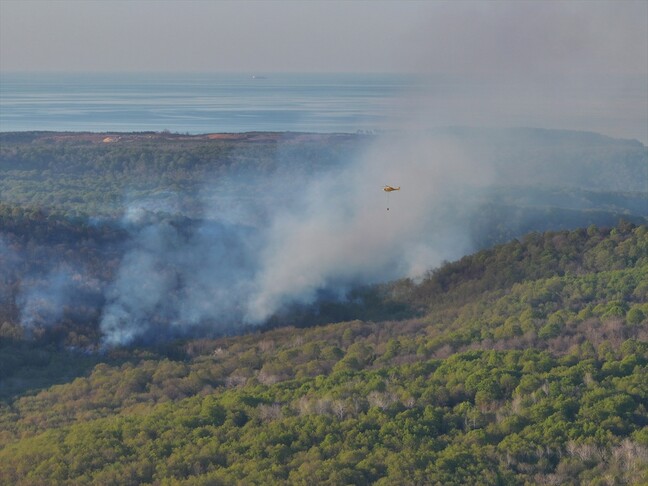 Çatalca ve Beykoz'da ormanlık alanlarda çıkan yangınlar kontrol altına alındı