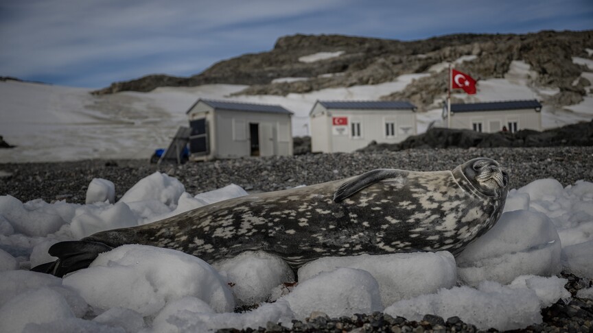 "Türk Antarktika Bilim Üssü" hazırlıkları tamamlandı